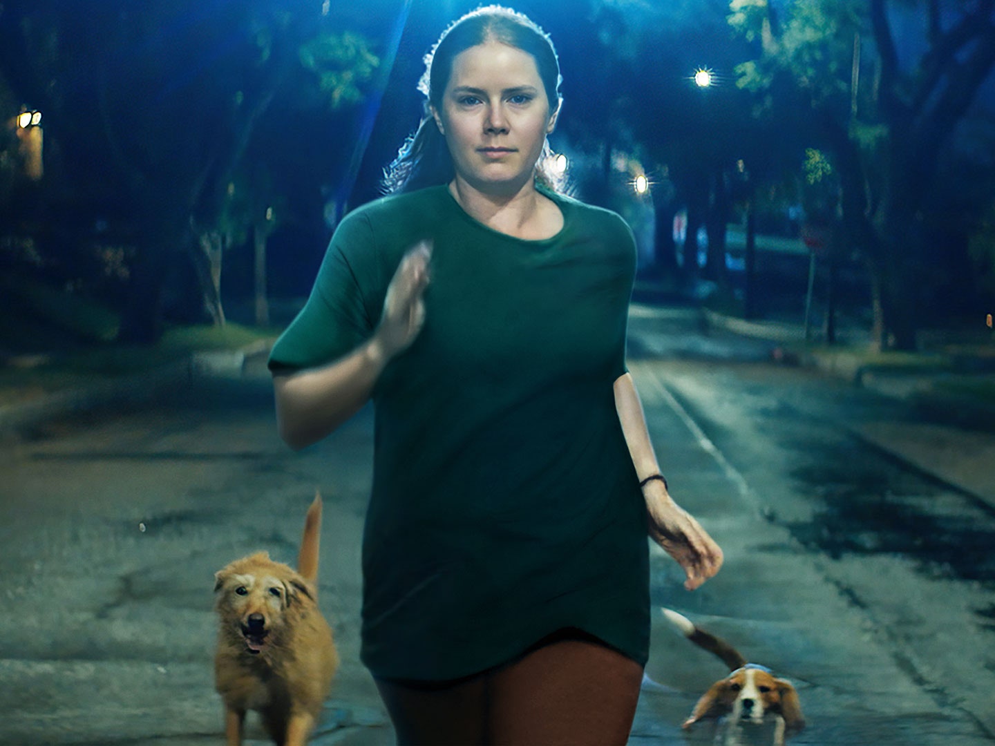The Nightbitch trailer, featuring Amy Adams as a new mother who thinks she's a dog, has viewers divided